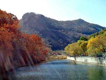 抗炎饮食：守护健康，远离炎症困扰