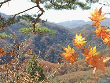 芦笋的种植时间，你知道“笋”到底什么时候该出现吗？